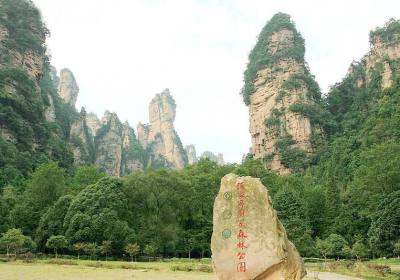 走湘西——張家界、鳳凰古城游記(一)