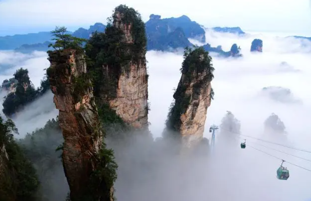 微信圖片_20241125080728 微信圖片_20241125080728