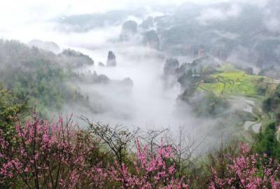 候鳥的選擇，彰顯湖南生態(tài)系統(tǒng)持續(xù)優(yōu)化